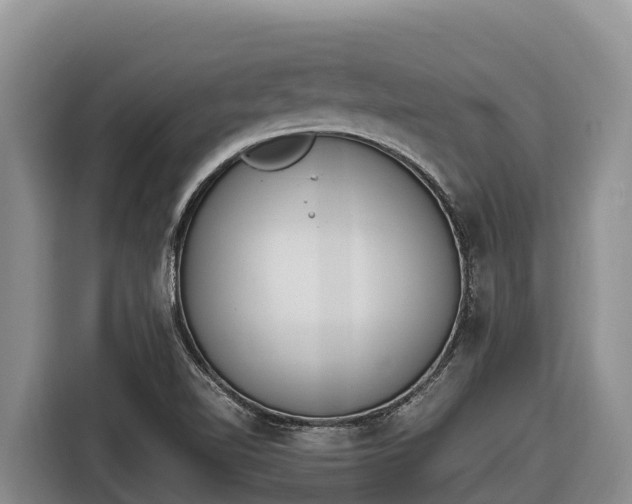 X0000116821510200912241230