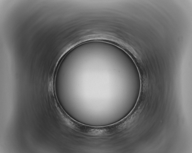 X0000116821513200912241230