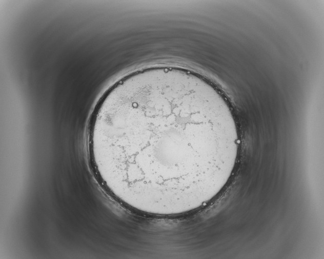 X0000116821514200912241230