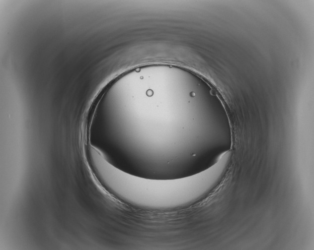 X0000116821515200912241230