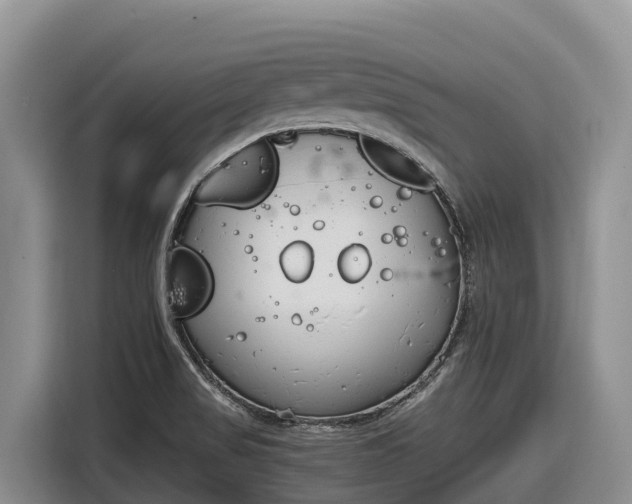 X0000116821517200912241230