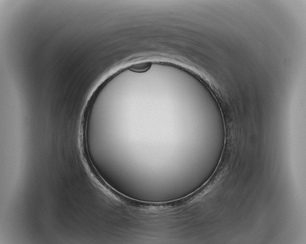 X0000116821518200912241230