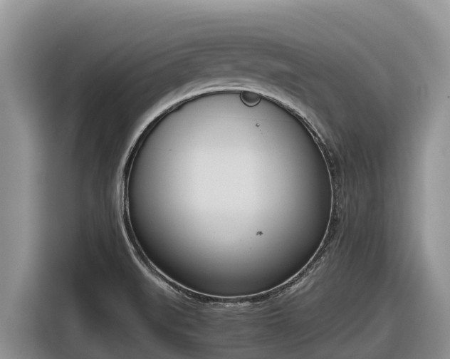 X0000116821519200912241230