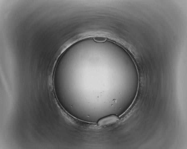 X0000116821521200912241230