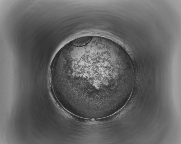 X0000116821522200912241231