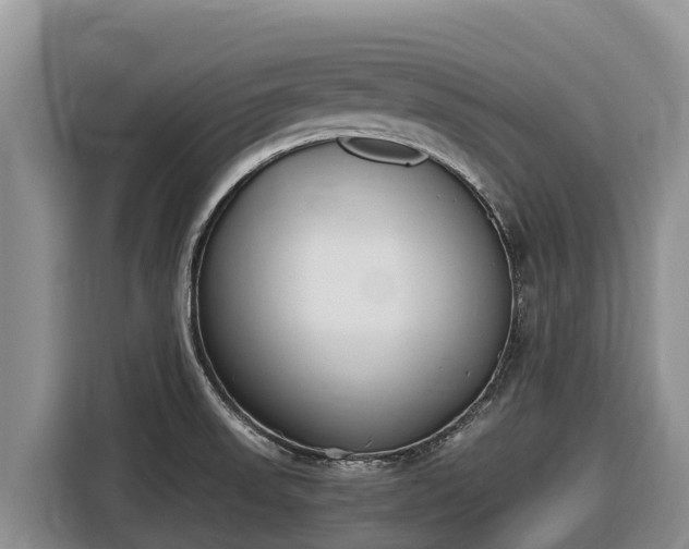 X0000116821523200912241231