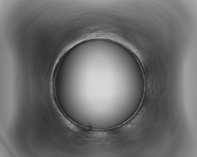 X0000116821525200912241231