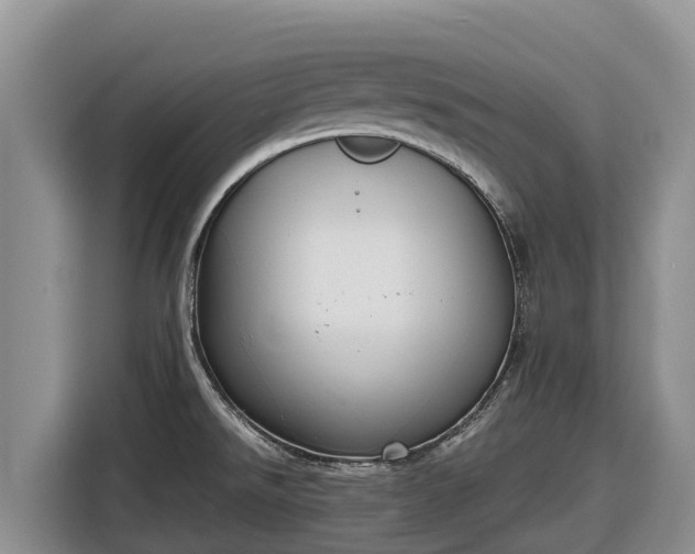 X0000116821526200912241231