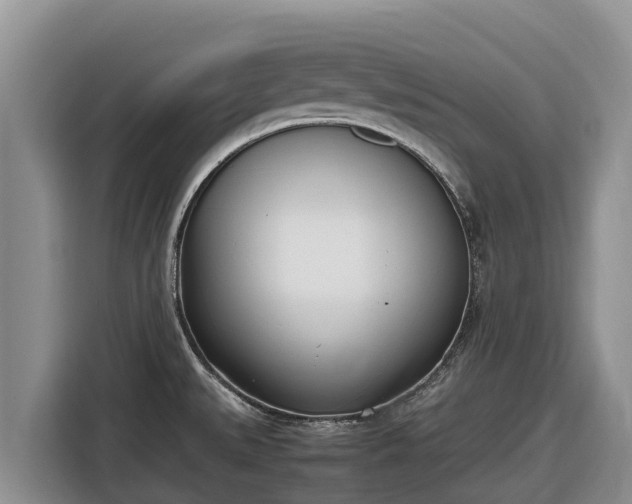 X0000116821527200912241231