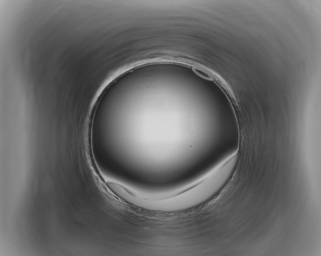 X0000116821530200912241231