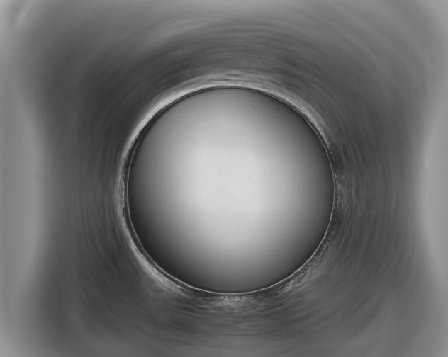 X0000116821531200912241231