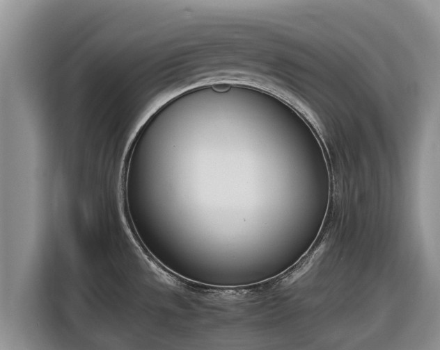 X0000116821533200912241231