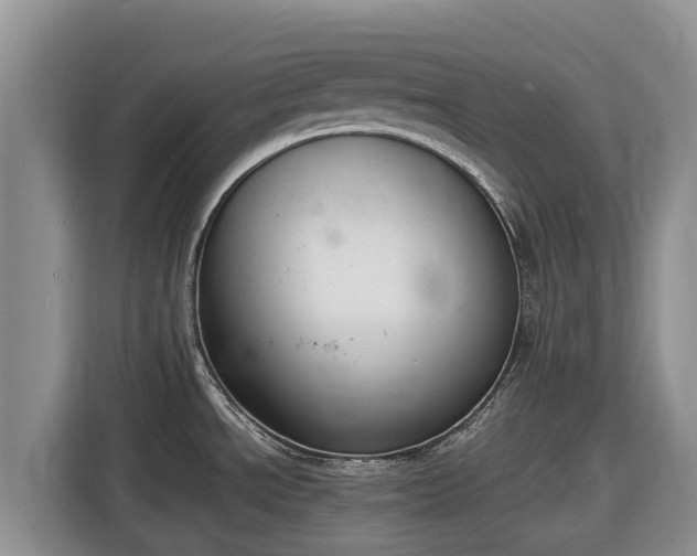 X0000116821534200912241231