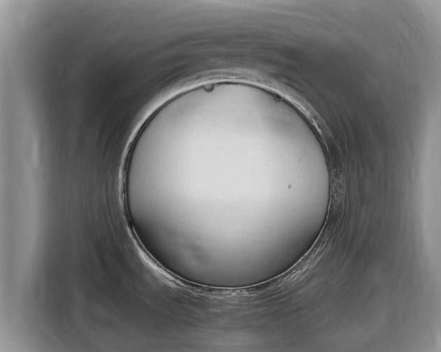 X0000116821535200912241231