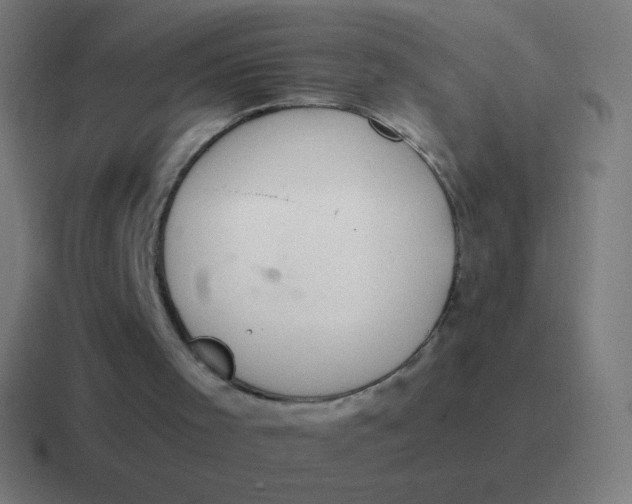 X0000116820001200912312024