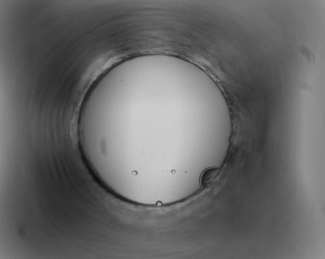 X0000116820002200912312024