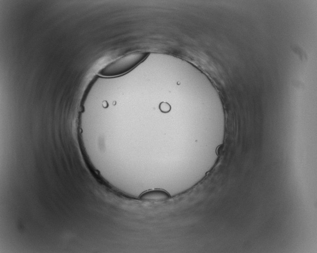 X0000116820003200912312024