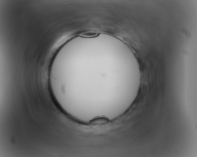 X0000116820005200912312024