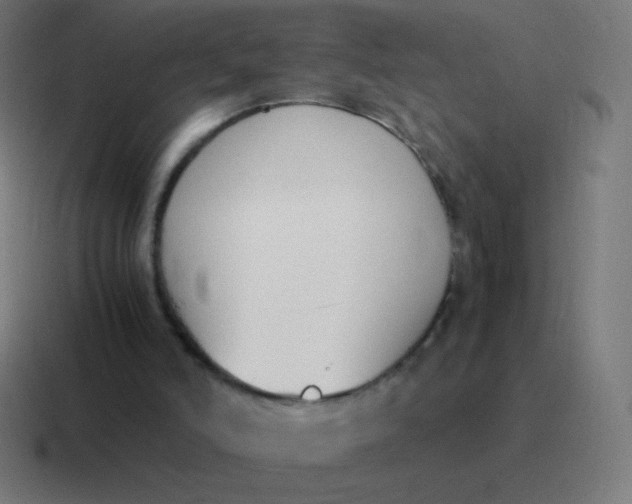 X0000116820006200912312024