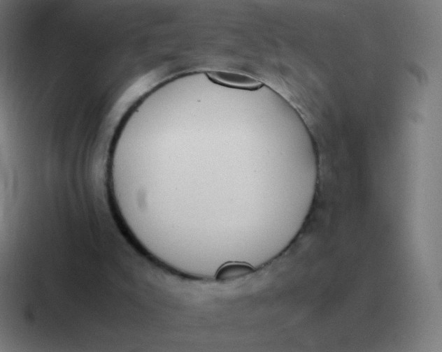 X0000116820007200912312024