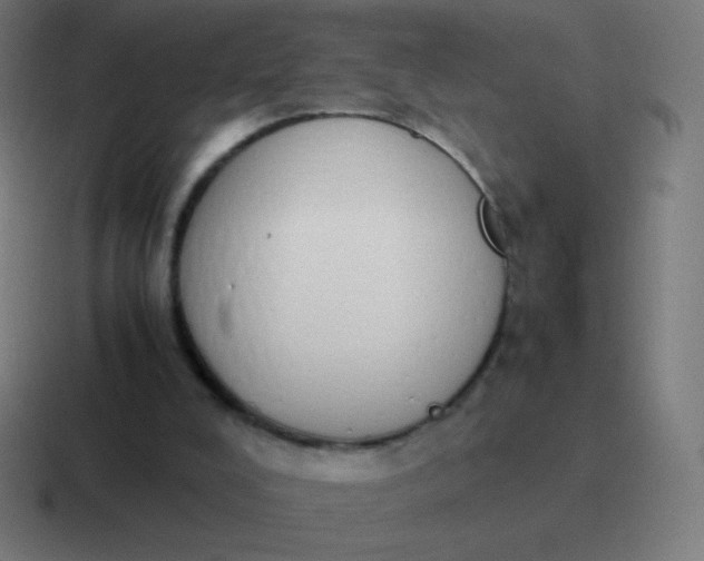 X0000116820008200912312024