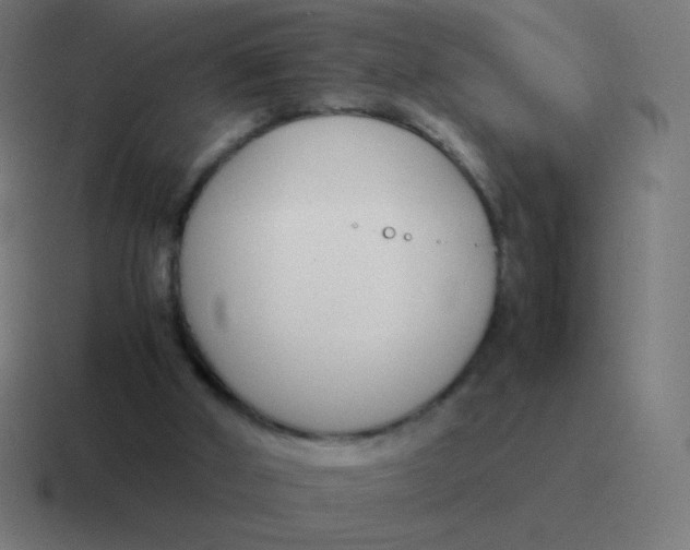 X0000116820010200912312024