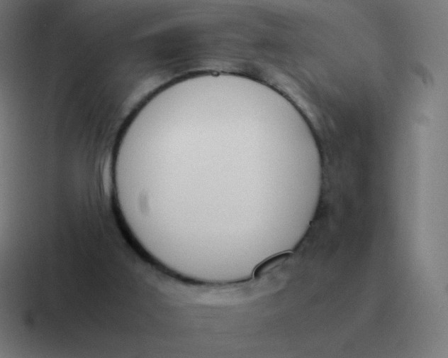 X0000116820011200912312024