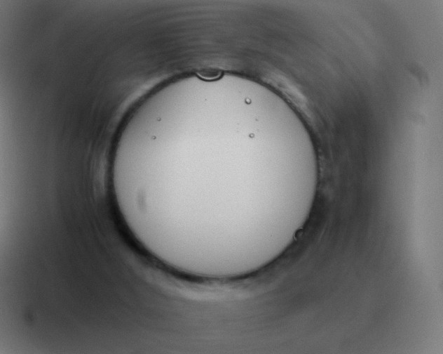 X0000116820012200912312024