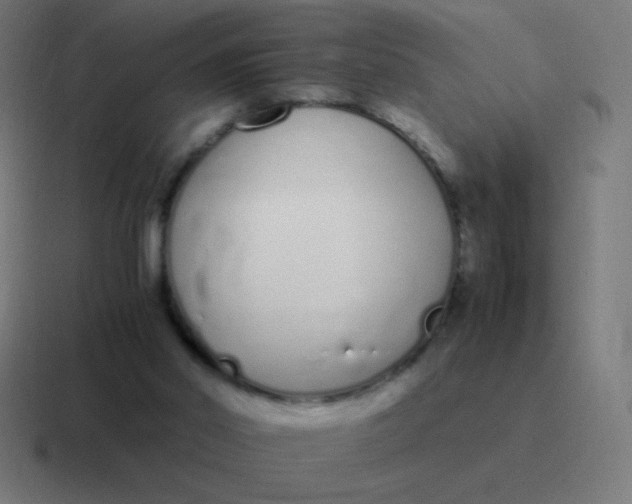 X0000116820014200912312024