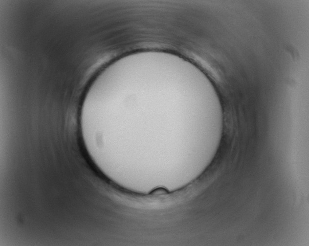 X0000116820015200912312024