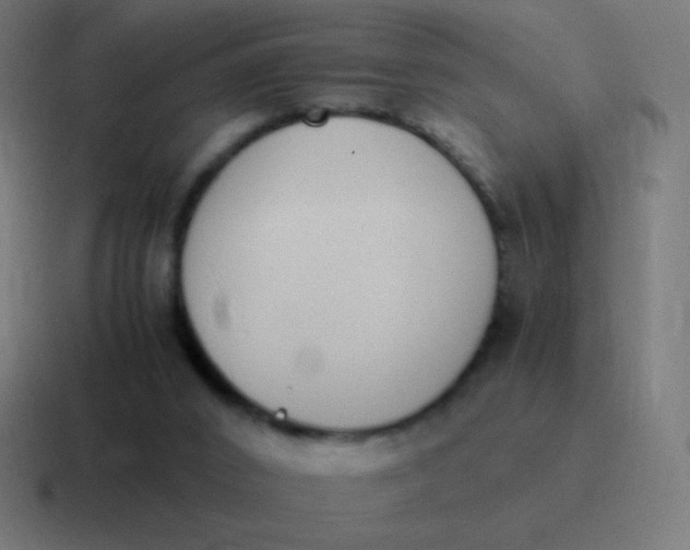 X0000116820016200912312024