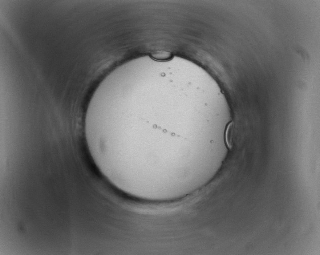 X0000116820017200912312024