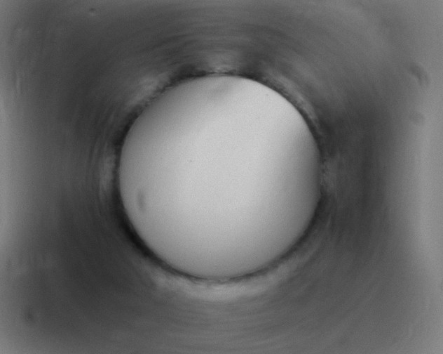 X0000116820018200912312024