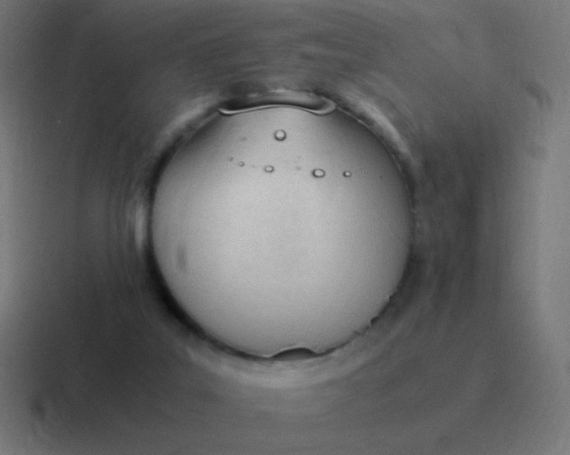 X0000116820019200912312024