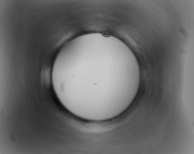 X0000116820020200912312024