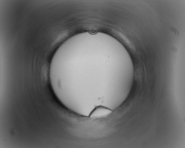 X0000116820023200912312024