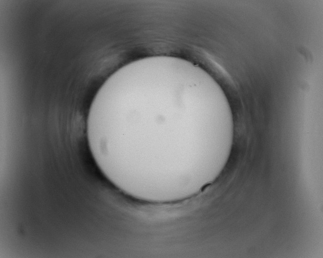 X0000116820025200912312024