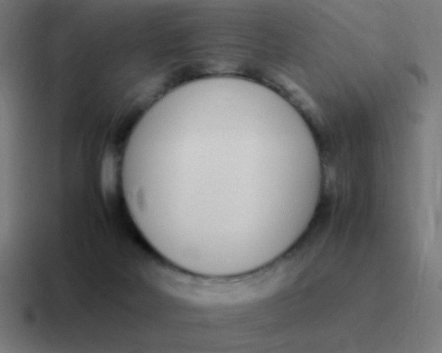 X0000116820026200912312024