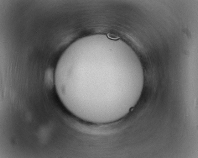 X0000116820028200912312024