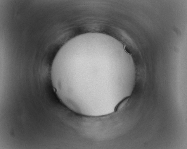 X0000116820029200912312024