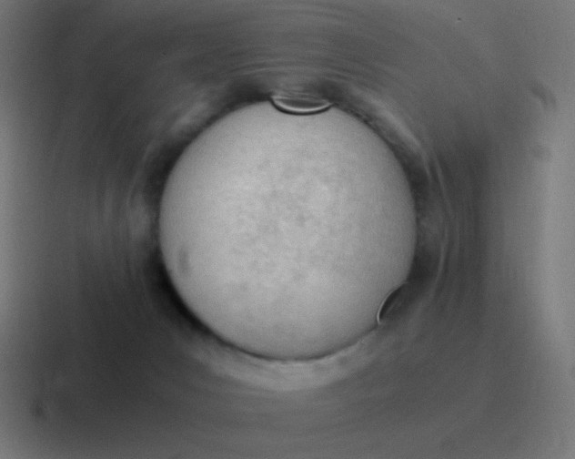 X0000116820031200912312024