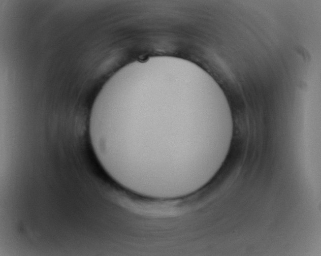 X0000116820032200912312024