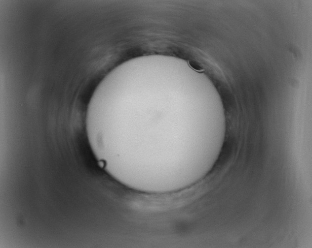 X0000116820033200912312024