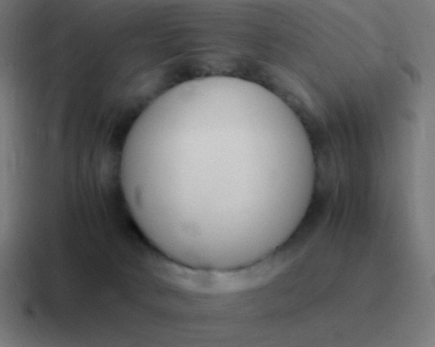 X0000116820034200912312024