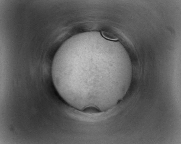 X0000116820035200912312024