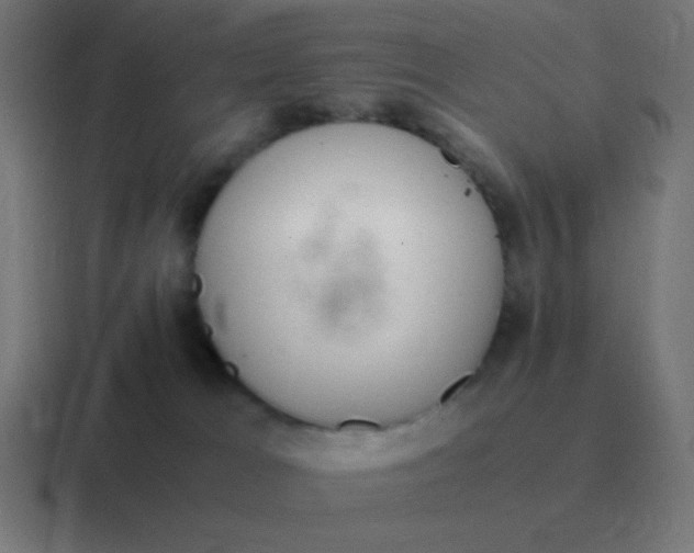 X0000116820037200912312024