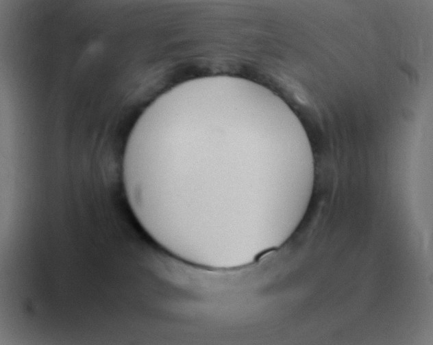 X0000116820039200912312024