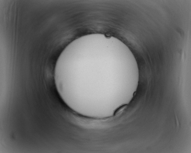 X0000116820040200912312024