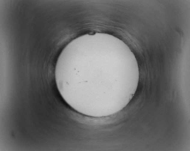 X0000116820043200912312024