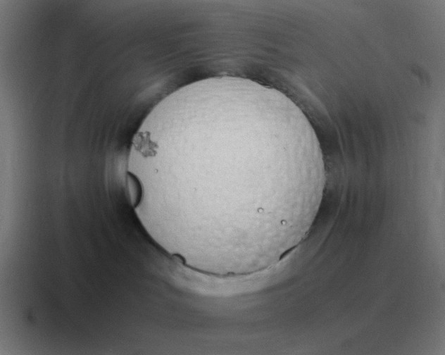 X0000116820047200912312024